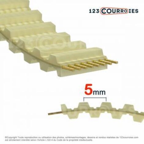 Courroie double dentée polyuréthane DT5-700-6