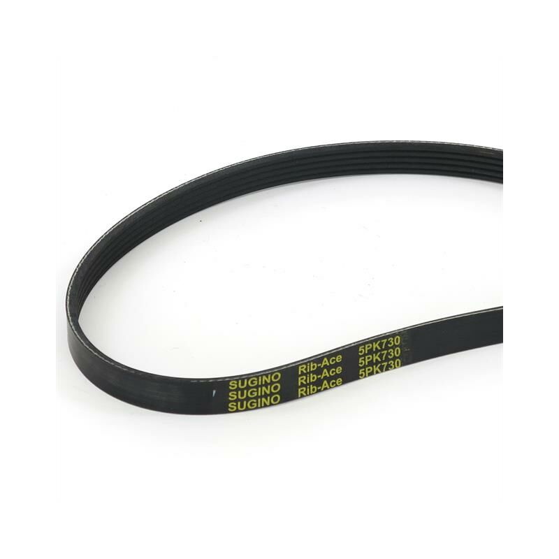 Courroie entraînement 5PK730 marche arrière motoculteur - FUXTEC - FX-AF200