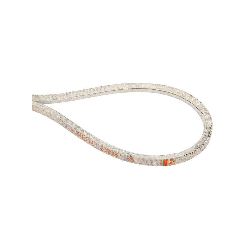 Courroie Etesia ET50883