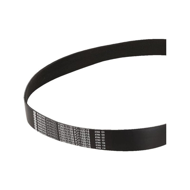 Courroie GASPARDO F06010158R