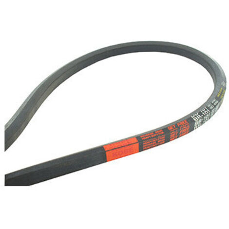 Courroie hexagonale BB120,25 3165mm