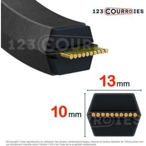 Courroie hexagonale Contitech CONTI V DUAL AA92 13 x 2337 Le