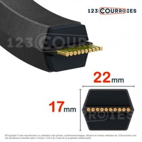 Courroie hexagonale Contitech CONTI V DUAL CC180 22 x 4572 Le