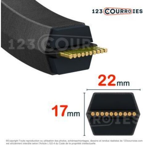 Courroie hexagonale Gates Hi Power Dubl V CC250
