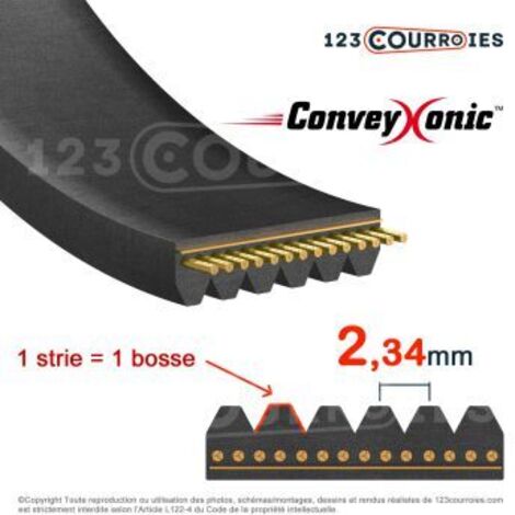 Courroie Hutchinson Conveyxonic 4PJ286