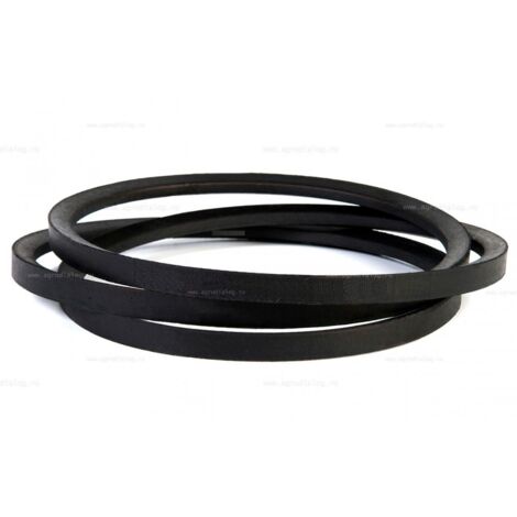 Courroie l=96,5cm , 22431-733-622 554808 v8172000370 - bineuse