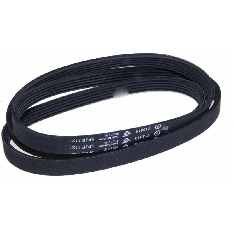 Cinghia - Lavatrice Haier 343233