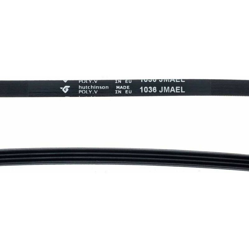 Courroie Lave linge Norwood Siltal 1036 J-4 elastica