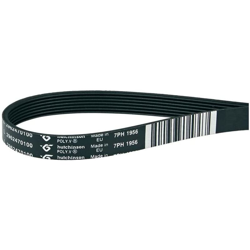 Courroie Lave-linge Sèche-linge 1956 H7 (2962470100)