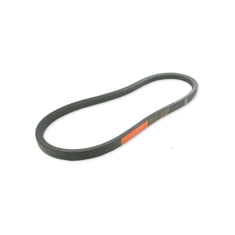 Jardin Affaires - Courroie LB98, 865920300100, 76181763C01, 76181758N01