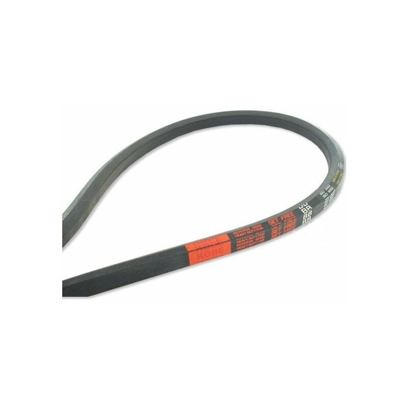 Courroie hexagonale BB114 3005mm