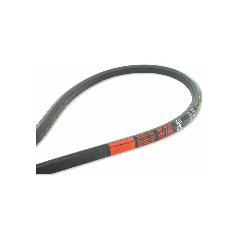 Courroie hexagonale COUNTAX - WESTWOOD BB136 - 22928800 3569mm