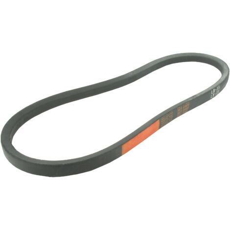 COURROIE LISSE LB31