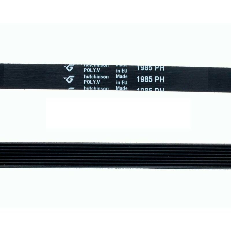 Courroie Machine à Laver Bauknecht Ocean 1985 H-8 Rainurée