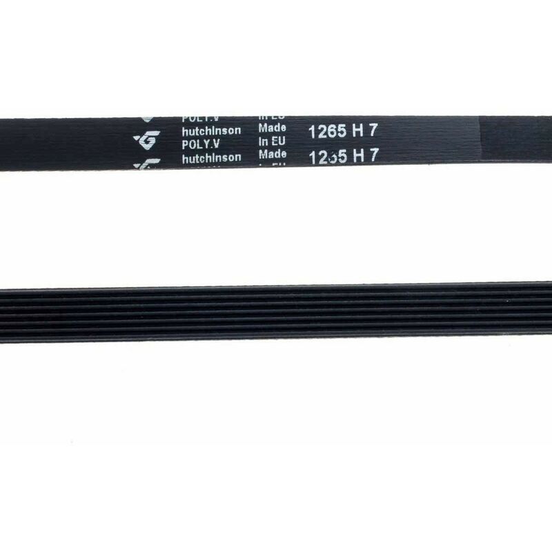 Courroie Machine à Laver Fagor 1265 H-7 Rainurée