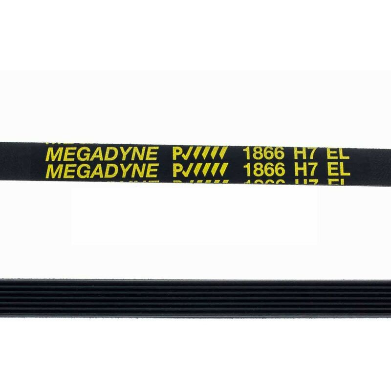 Courroie Machine à Laver Standard 1866 H-7 Élastique