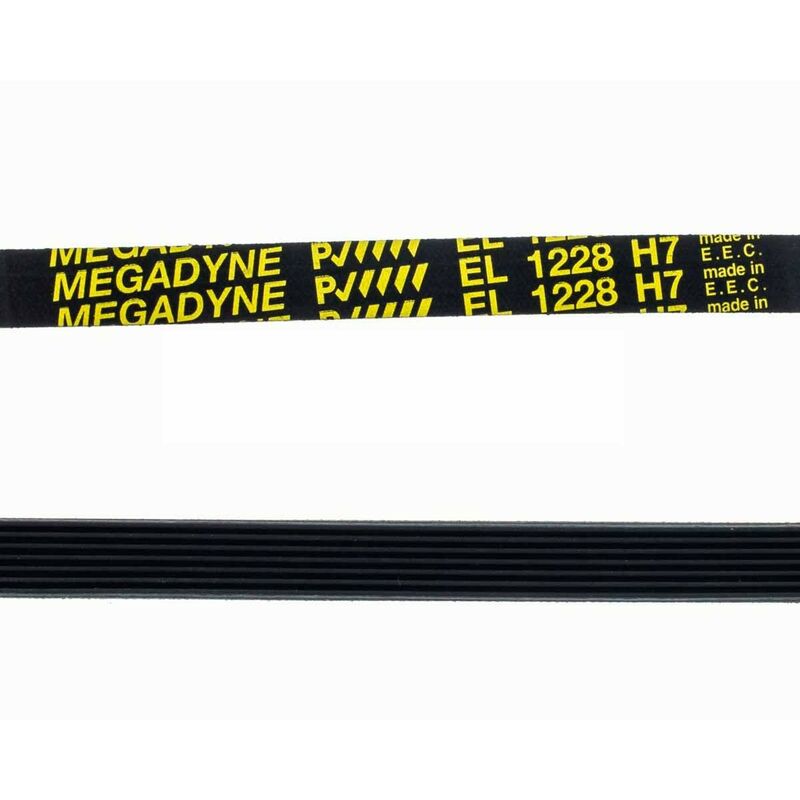 Courroie Machine à Laver Vestel 1228 H-7 Élastique Rainurée