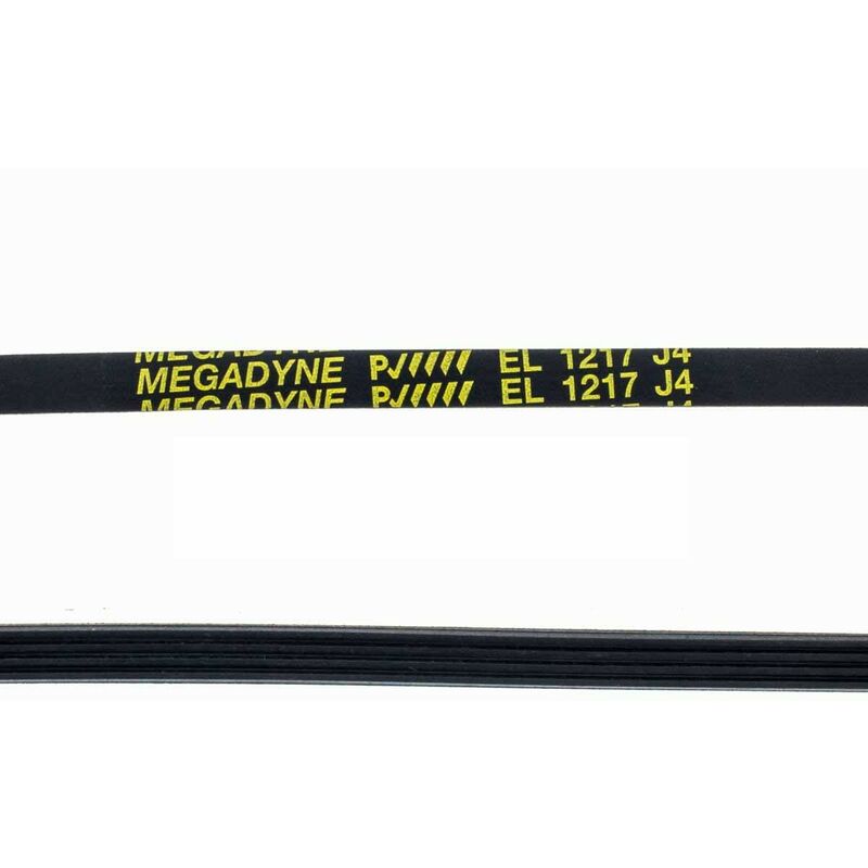 Courroie Machine à Laver Zanussi 1217 J-4 Élastique 1240211001