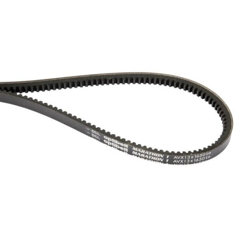 Courroie OPTIBELT AVX131030