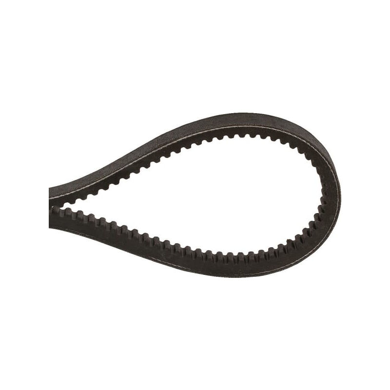 Courroie Optibelt AX131046