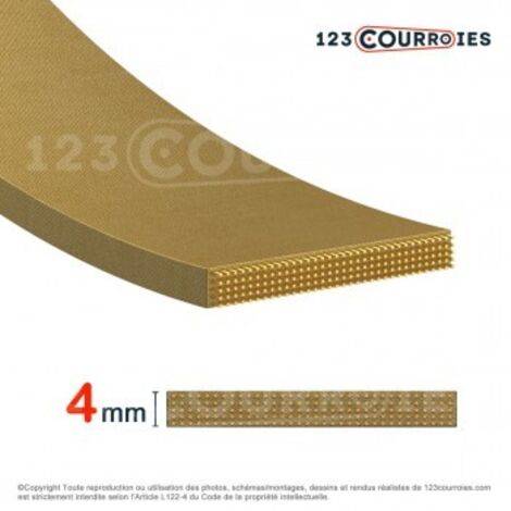 Courroie plate agrafable CP3-30-2000