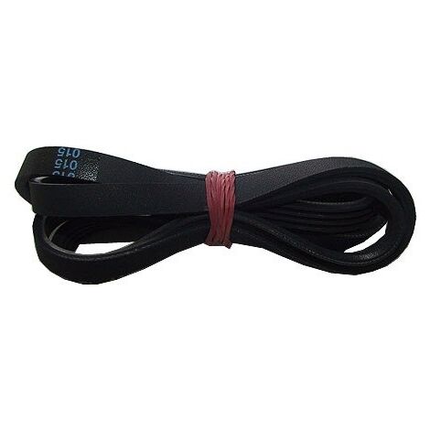 Courroie pour Lave-Linge INDESIT C00081730
