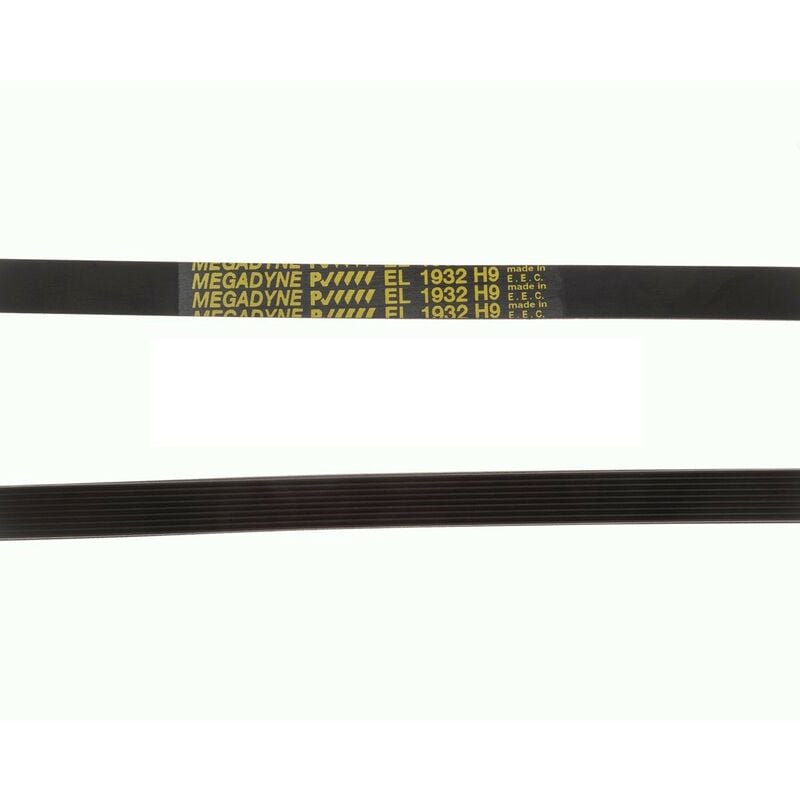 Courroie Pour Moteur Sèche-Linge Fagor Edesa Type 1932 H-9 Élastique