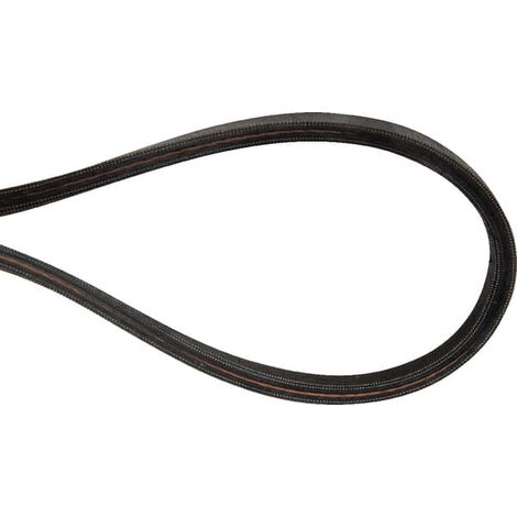 Courroie pour moteur thermique 812.8mm x 9.5mm – Compatible tondeuses Mc Culloch et Toro – 532175436