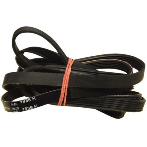 Courroie pour Sèche-Linge WHIRLPOOL 481235818164