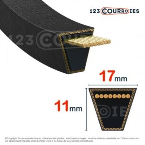Courroie section 17x11 2235Li / 2301Le 800309.0