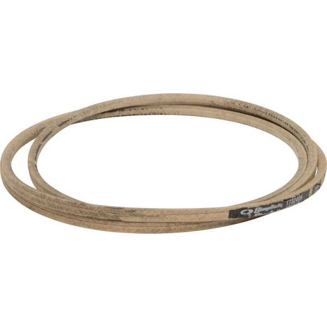 Courroie SNAPPER 1732409SM