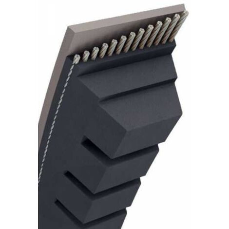 Courroie tondeuse AX26 trapézoïdale crantée  13 x 710 mm