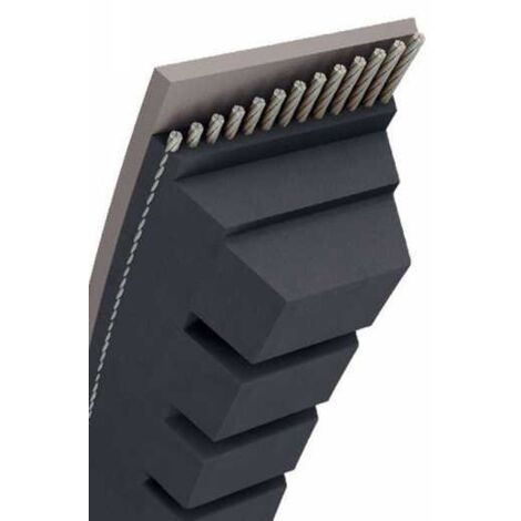 Courroie tondeuse AX43 trapézoïdale crantée  13 x 1142 mm