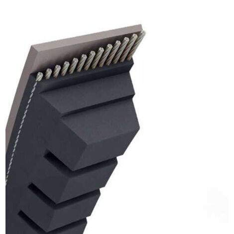 Courroie tondeuse AX46 trapézoïdale crantée  13 x 1218 mm