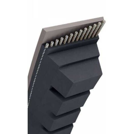 Courroie tondeuse AX53 trapézoïdale crantée  13 x 1400 mm