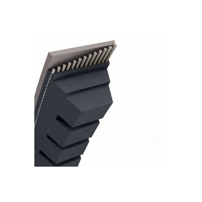 Courroie tondeuse BX48 Trapézoïdale crantée - 17 mm x 1286 mm