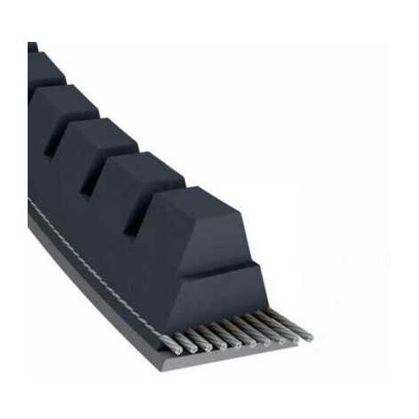 Courroie tondeuse XPA900 trapézoïdale crantée  12,7 x 917 mm