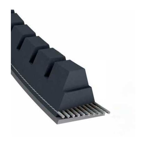 Courroie tondeuse XPZ1000 trapézoïdale crantée  9,7 x 1012 mm
