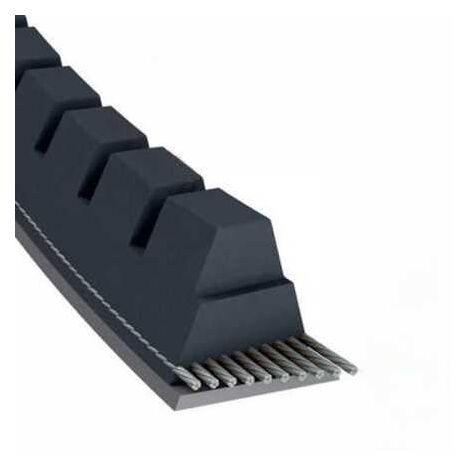 Courroie tondeuse XPZ1180 trapézoïdale crantée  9,7 x 1192 mm