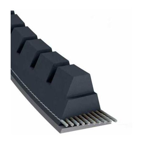 Courroie tondeuse XPZ562 trapézoïdale crantée  9,7 x 562 mm
