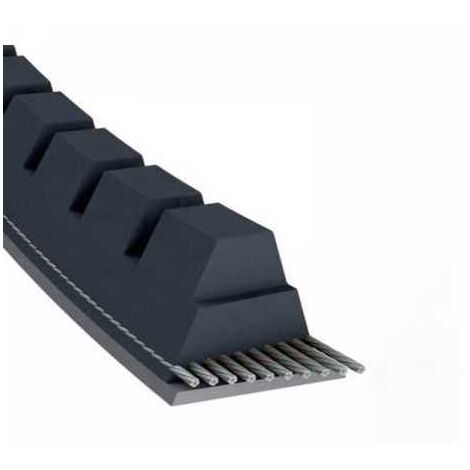 Courroie tondeuse XPZ630 trapézoïdale crantée  9,7 x 642 mm