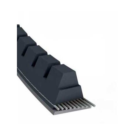 Courroie tondeuse XPZ750 trapézoïdale crantée  9,7 x 762 mm