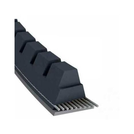 Courroie tondeuse XPZ800 trapézoïdale crantée  9,7 x 812 mm