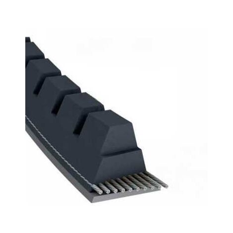 Courroie tondeuse XPZ925 trapézoïdale crantée  9,7 x 937 mm