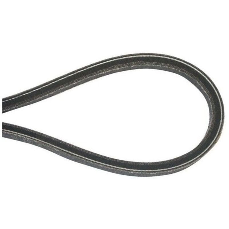 135061400/0 - Courroie d'avancement pour tondeuse autoportée Castelgarden ggp / Stiga