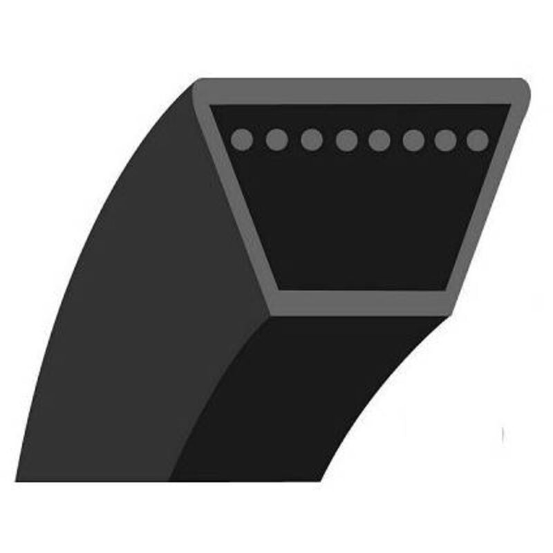 Outils Wolf - Courroie traction tondeuse RM46B (f)