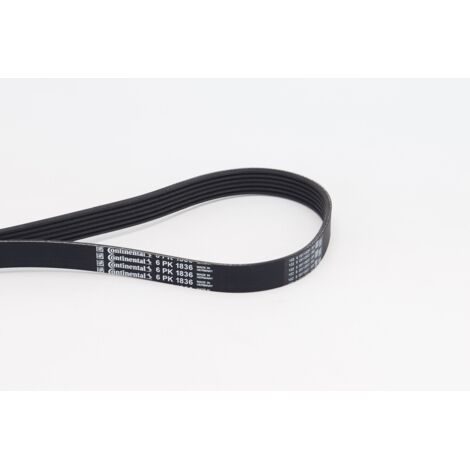 COURROIE TRAPÉZOÏDALE 6PK1836 CONTINENTAL