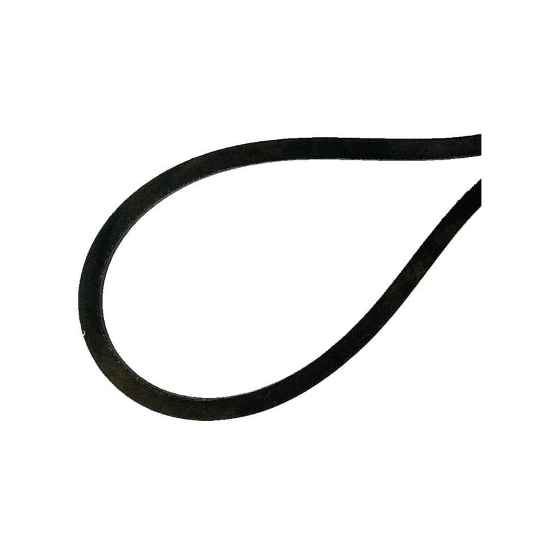 Courroie trapézoïdale as-motor E11463ASM