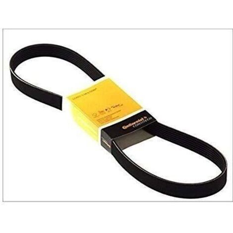 Courroie trapézoïdale CONTITECH 13 x 1250