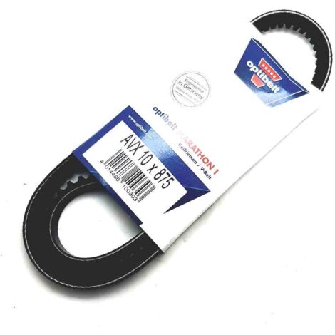 Courroie trapézoïdale crantée AVX10x875La ou 1A0875